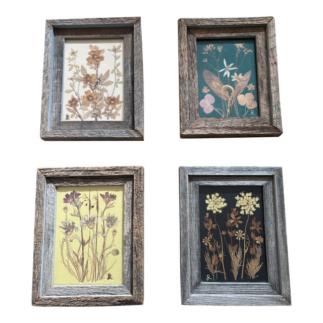 Set of Vintage Botanical Pressed American Wildflower Specimens 4 For Sale