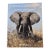 Sporting and Wildlife Art Auction Catalogue, Christie's South Kensington. December 2014 For Sale