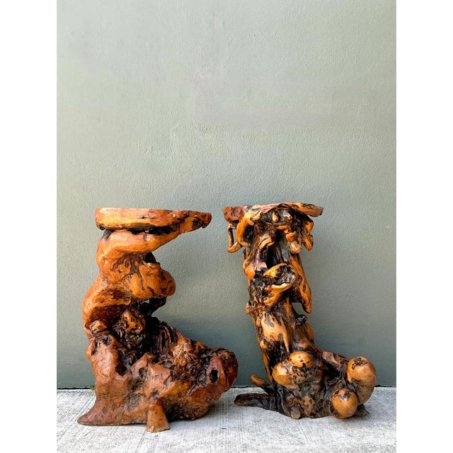 Contemporary Vintage Japanese Twisted Root Pedestals - Set of Two For Sale - Image 3 of 12