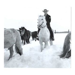 1962 Michigan Snow at Gay El Rancho Equestrian Photograph For Sale