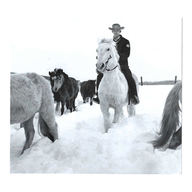 1962 Michigan Snow at Gay El Rancho Equestrian Photograph For Sale