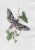 Traditional 1802 Hawk Moth Hand Colored Engraving For Sale - Image 3 of 3