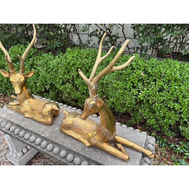 1960s Pair of Hollywood Regency Brass Stags For Sale - Image 13 of 13