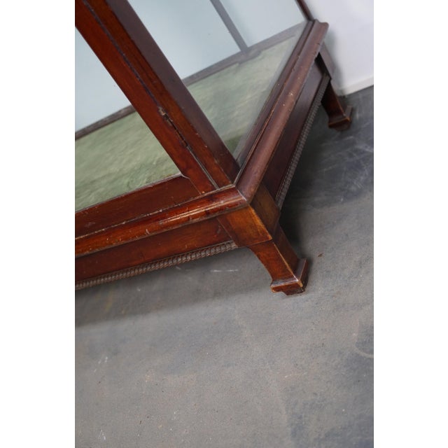 Victorian Mahogany Museum Shop Display Cabinet or Vitrine, Late 19th Century For Sale - Image 11 of 18