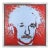 Late 20th Century Einstein - State I, Steve Kaufman For Sale