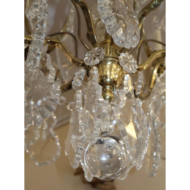 Late 19th Century French Louis XV Style Brass & Crystal 12 Light Cage Chandelier For Sale - Image 15 of 18