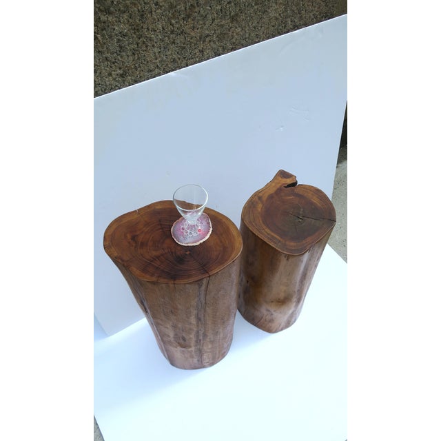 Pedestal Side Drinks Table, Natural Wood Trunk, Organic Modern Style For Sale - Image 9 of 16