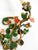 Floral Wall Lamps in Metal with Hand-Painted Details, Italy, 1950s, Set of 2 For Sale - Image 9 of 17