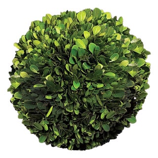 Boxwood Ball 8" For Sale