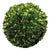 Boxwood Ball 8" For Sale