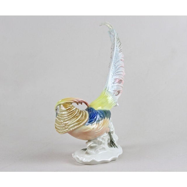 Golden Pheasant Porcelain Figurine by F. Karl Ens, Germany, 1920s For Sale - Image 4 of 18