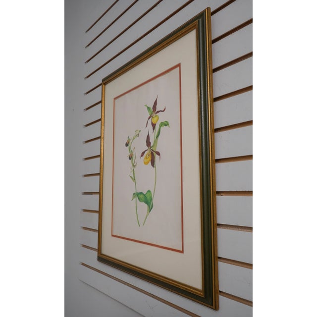 1950s Pair Vintage Framed & Matted Botanical Prints For Sale - Image 5 of 12