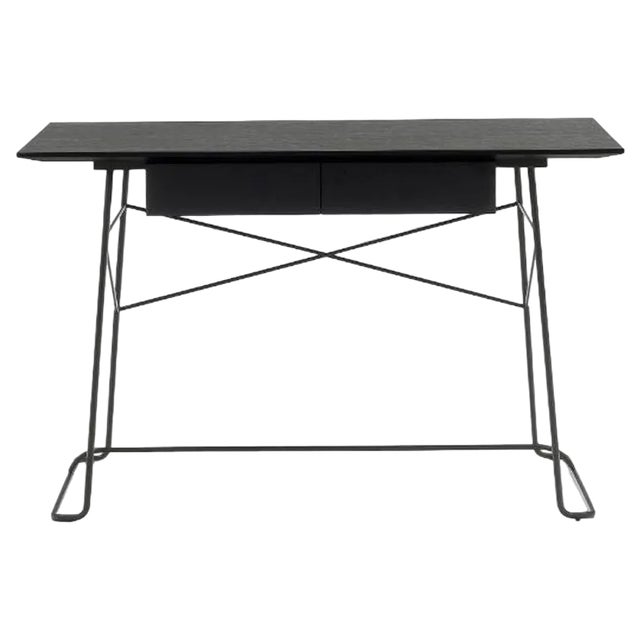 Bronze Brera Desk by Marcos Zanuso Jr For Sale