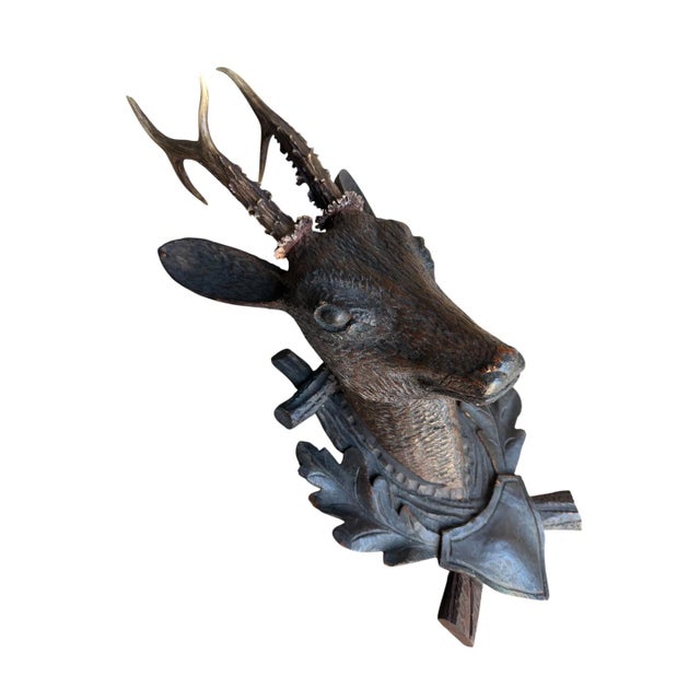Black Forest Deer Head For Sale - Image 4 of 6