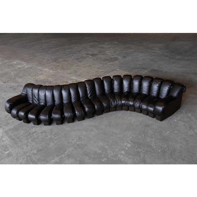 Animal Skin Ds600 Snake Sofa in Black Leather by Ueli Berger for de Sede, Switzerland, 1970s, Set of 19 For Sale - Image 7 of 8
