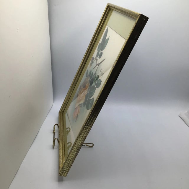 Paul De Longpre Roses 1905 Framed Lithograph Printed by the Grey Co. New York For Sale - Image 4 of 13