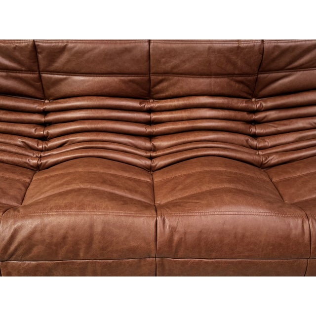 Animal Skin French Togo Three-Seater Sofa in Cognac Cow Leather by Michel Ducaroy for Ligne Roset For Sale - Image 7 of 15