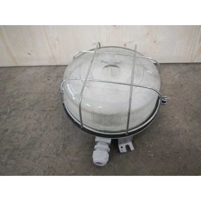 Gray Italian Turtle Wall Lamp, 1980s For Sale - Image 8 of 10