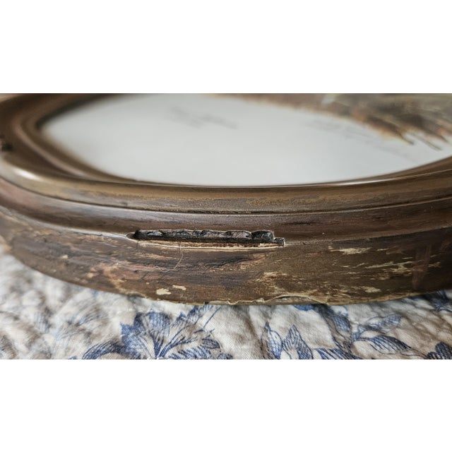 Late 19th Century Pair of Victorian Gold Gesso Oval Frames, Original Convex Glass For Sale - Image 9 of 17