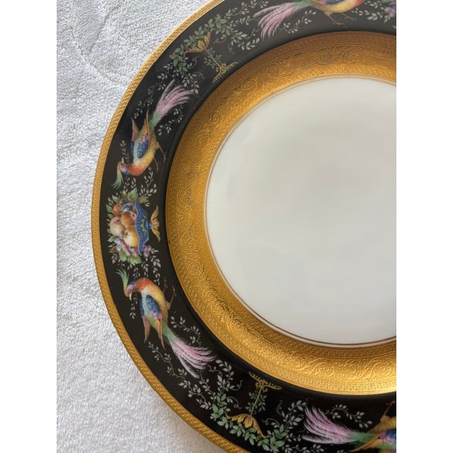 Ceramic Set of 12 Pristine Hutschenreuther Black Knight Porcelain Dinner Plates – Gold Encrusted Pheasant & Fruit Motif, Mid-20th Century, Decorated in Usa For Sale - Image 7 of 10
