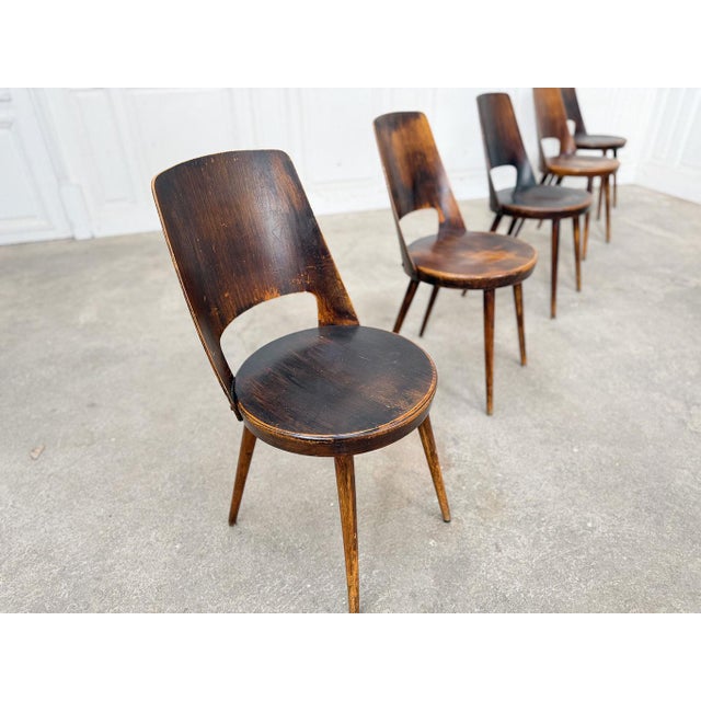 1960s Mondor Chairs from Baumann, 1960s, Set of 6 For Sale - Image 5 of 10