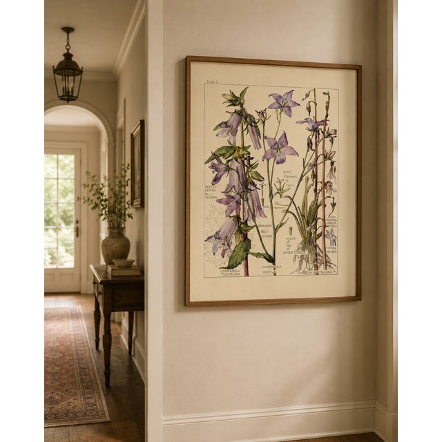 Bell Flowers Plate 1, Vintage Botanical Art Print Reproduction, 40" X 60" For Sale - Image 11 of 13