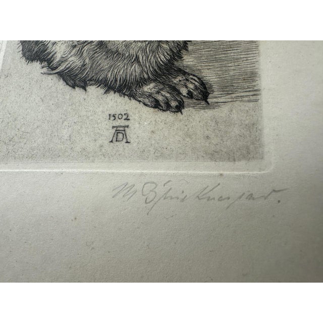 After Albrecht Dürer, Young Hare, Copperplate Engraving, 19th Century For Sale - Image 4 of 8