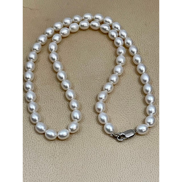 Fresh Water Elongated Pearl Single Strand Necklace, Silver Clasp For Sale - Image 13 of 18