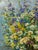 2000 - 2009 Oil Painting Daisies Kalashnik Nikolai Fedorovich For Sale - Image 5 of 11