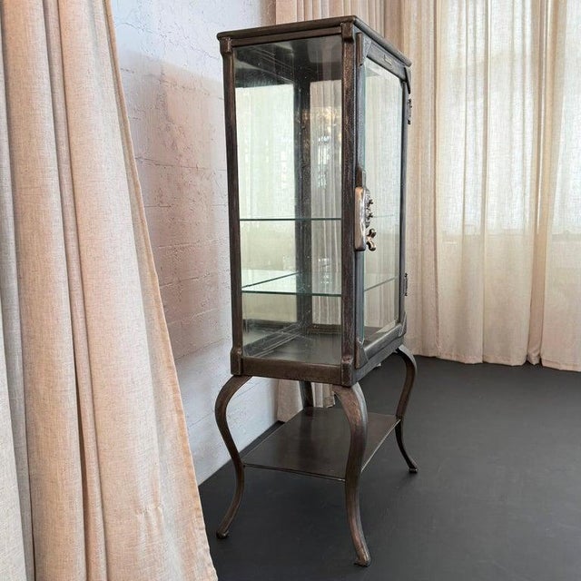 Gray Antique Industrial Brushed Steel Apothecary Vitrine Cabinet For Sale - Image 8 of 12