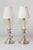 This exquisite pair of 19th-century candlesticks, crafted from silvered and chiseled bronze, has been beautifully...