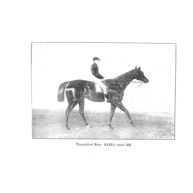 Traditional "Horse-Breeding in England & India and Army Horses Abroad" 1901 Gilbey, Sir Walter Bart. For Sale - Image 3 of 8