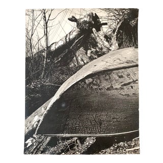 Vintage Black and White Fine Art Photograph For Sale