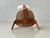 Wood SE 42 Chair by Egon Eiermann for Wilde + Spieth, 1950s For Sale - Image 7 of 18
