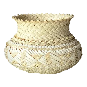 Late 20th-Century Tarahumara Handwoven Sotol Leaf Cachepot, Mexico