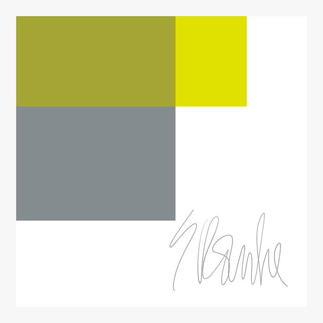 Not Yet Made - Made To Order The Interaction of Lime Green and Gray Fine Art Print 45" X 55" by Liz Roache For Sale - Image 5 of 6