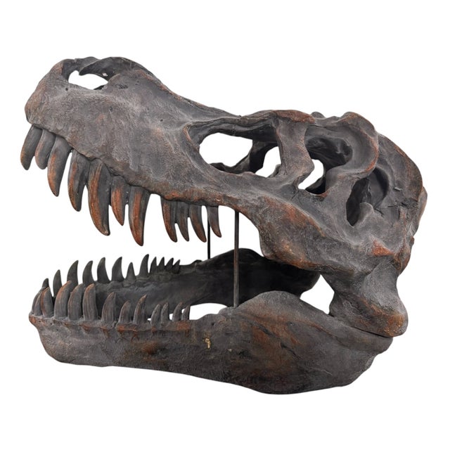 Figurative Late 20th Century Tyrannosaurus Rex Skull Sculpture For Sale - Image 3 of 13