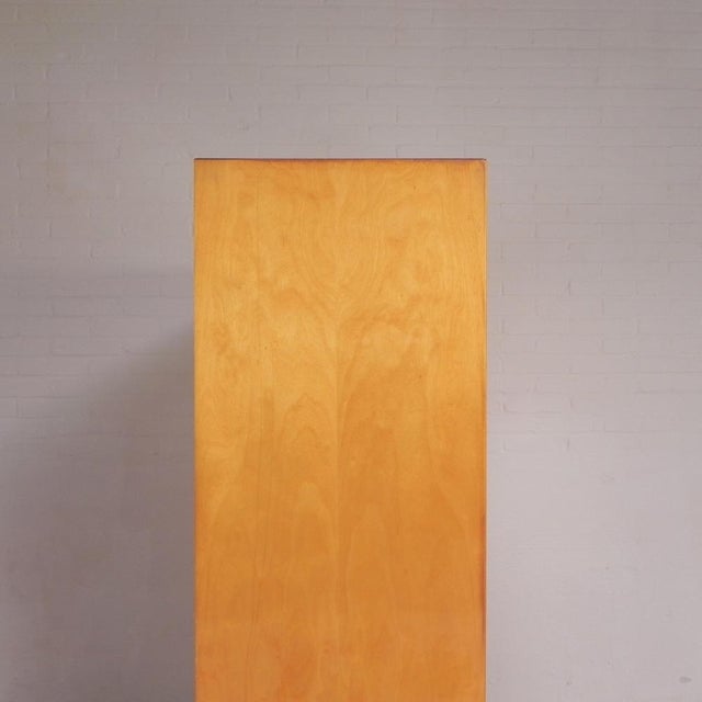 Belgian Birch Display Cabinet For Sale - Image 10 of 18