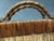 Antique Wicker Side Table, 1890s For Sale - Image 14 of 18