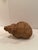 Monumental Woven Rattan Shell Form Sculpture For Sale - Image 15 of 15