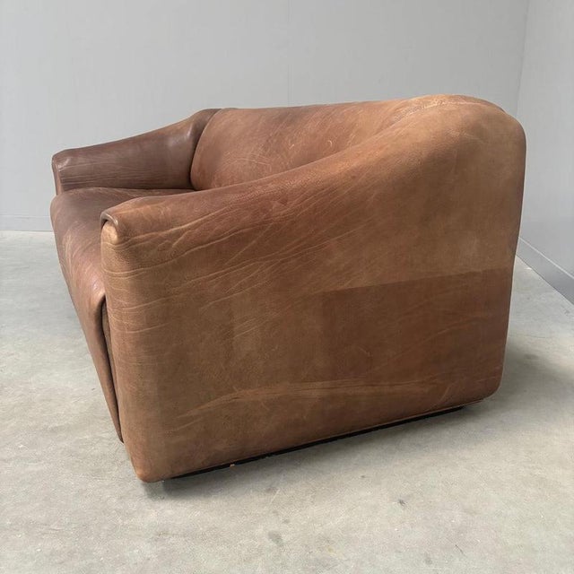 Brown DS47 Sofa from de Sede, Switzerland, 1970s For Sale - Image 8 of 16