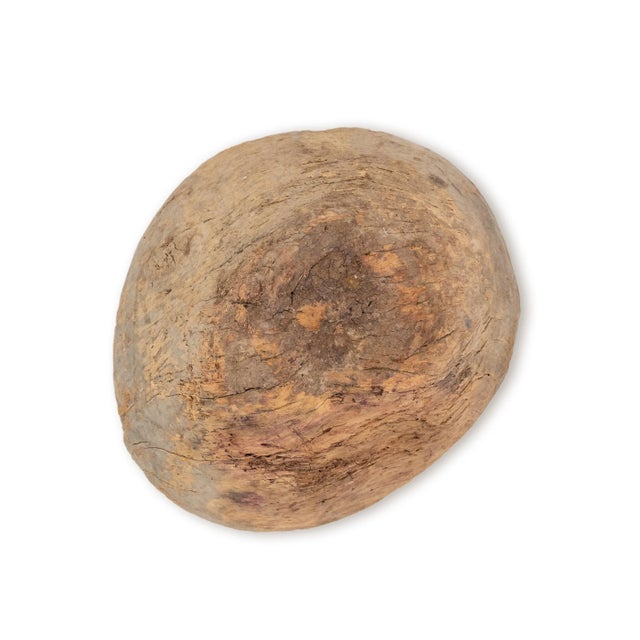 Turkish Antique Root Bowl For Sale - Image 10 of 11