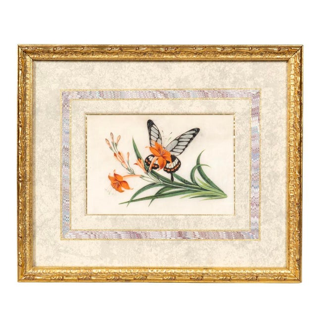 Set of Four Chinese Export Framed Pith Paper Watercolors of Plants and Insects For Sale - Image 10 of 10