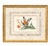Set of Four Chinese Export Framed Pith Paper Watercolors of Plants and Insects For Sale - Image 10 of 10