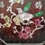 Vintage Chinese Rosewood Table Screen With Mother of Pearl Inlay – Magpie & Plum Blossom Motif For Sale - Image 9 of 9