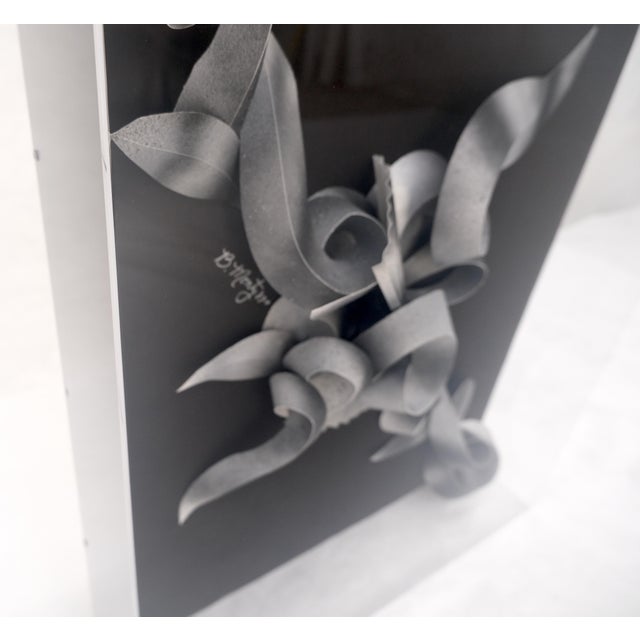 Late 20th Century Showcased 3D Abstract Signed Greg Copeland Paper Sculpture Rectangular Wall Art For Sale - Image 5 of 7