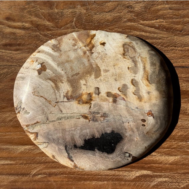Stone Small Trinket Dish in Beige Petrified Wood with Black Spots For Sale - Image 7 of 9