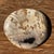 Stone Small Trinket Dish in Beige Petrified Wood with Black Spots For Sale - Image 7 of 9