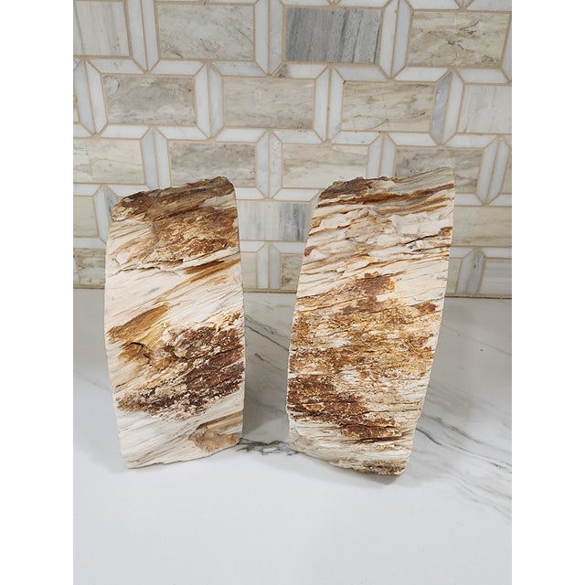 1970s Set of Mid Century Modern Petrified Wood Bookends For Sale - Image 4 of 7