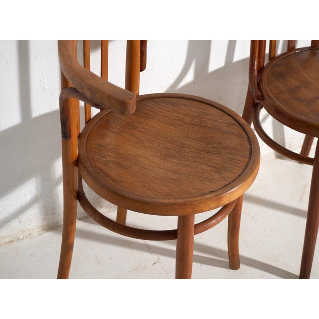 Mundus Bentwood Chairs, 1920, Set of 4 For Sale - Image 9 of 14